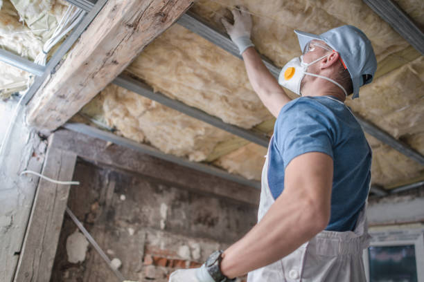 Best Insulation Maintenance and Repair in South San Jose Hills, CA