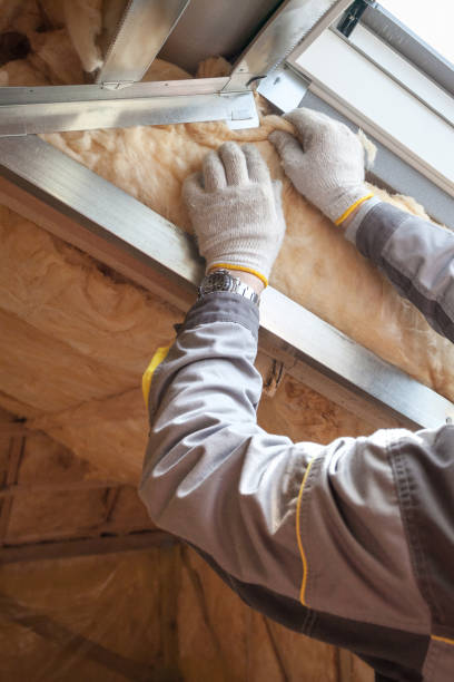 Best Insulation Installation Services in South San Jose Hills, CA